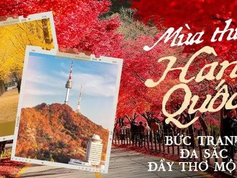 Choáng ngợp khung cảnh mùa thu Hàn Quốc, lá vàng lá đỏ rực sắc đẹp như phim