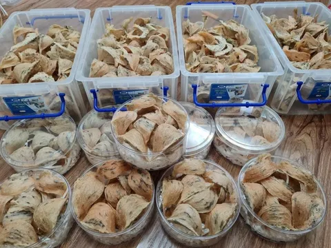 Tổ yến được xuất khẩu chính ngạch sang Trung Quốc