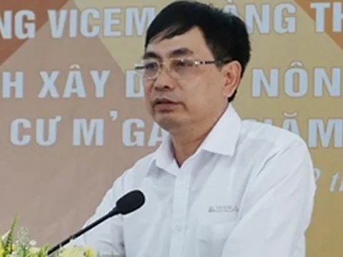 Bắt chủ tịch công ty ximăng Vicem Hoàng Thạch