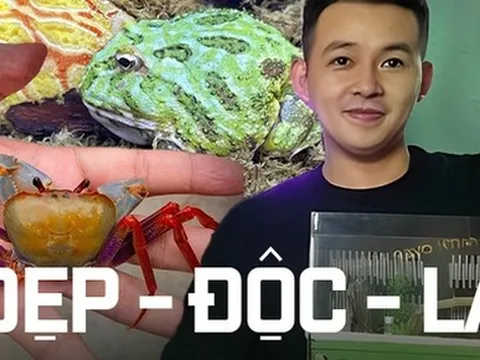 Nuôi cua cảnh, kiến cảnh và thú chơi động vật độc lạ