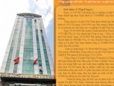 Thanh tra Chính phủ chỉ ra sai phạm liên quan Tổng công ty Cà phê Việt Nam