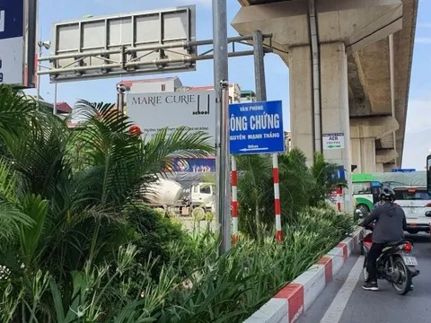 Cử tri thắc mắc gầm đường sắt Cát Linh - Hà Đông mỗi đoạn trồng một loại cây