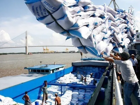Giải pháp phát triển bền vững khi xuất khẩu vào các thị trường FTA