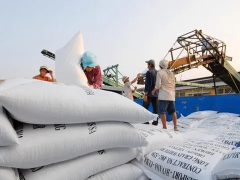 Xuất hiện tình trạng gạo Campuchia, Ấn Độ ồ ạt vào Việt Nam