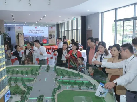 “Tảng băng chìm” quanh chuyện đầu tư của Vietracimex