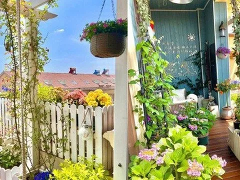 Bà mẹ 40 tuổi sở hữu khu vườn sân thượng đẹp hút hồn dù kinh nghiệm chỉ là số 0