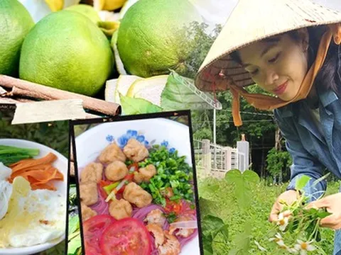 Cô gái 9x bỏ phố về quê giúp áp lực tài chính giảm đi lại tìm thấy hạnh phúc trong tâm hồn