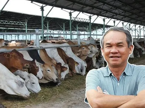 Trước khi bán 'bò Lào đặc sản', bầu Đức từng bán 'bò Úc đặc sản' như thế nào?