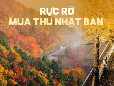 Vẻ đẹp mộng mơ của mùa thu Nhật Bản, xem xong chỉ muốn xách vali lên đường