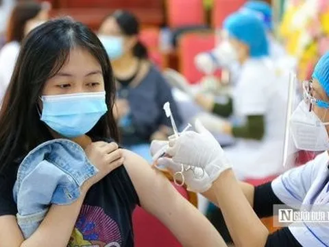 Ngày 21/11: Ca Covid-19 mới tăng lên 370