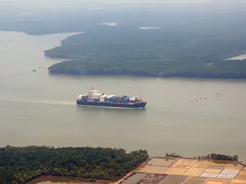 Giá cước vận tải biển giảm mạnh