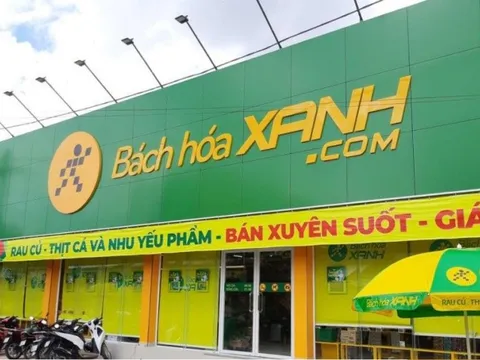 VNDirect dự báo Bách Hoá Xanh lỗ hơn 2.000 tỷ trong năm 2022, từ quý 2/2023 bắt đầu có lãi