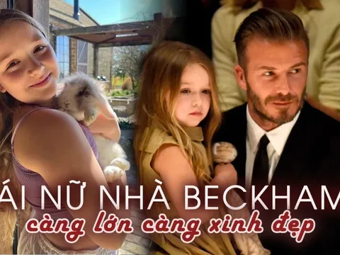 'Công chúa nhỏ' nhà triệu phú Beckham: Sinh ra đã 'ngậm thìa bạc' nhưng được dạy dỗ rất kỷ luật, bộc lộ tài năng trong lĩnh vực không ngờ