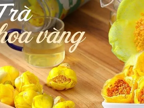 Vùng núi phía Bắc có loại trà sấy khô bán với giá 20 triệu/kg