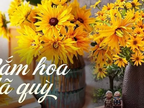 Chị em rủ nhau khoe bình hoa dã quỳ, đơn giản nhưng lại đẹp đến lạ