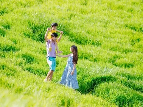 Chuyến du lịch của gia đình nhỏ đến Mộc Châu ấm áp và đẹp vô cùng tận