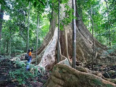 Lonely Planet giới thiệu 8 cung đường leo núi tuyệt vời nhất Việt Nam