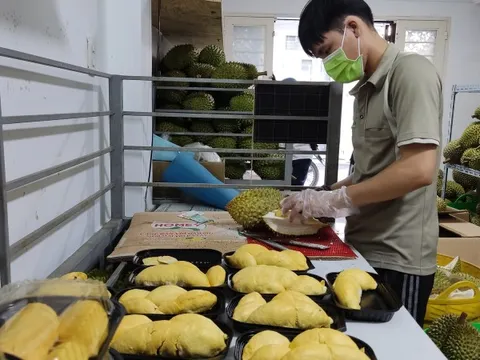 Bộ trưởng Lê Minh Hoan lo nông dân đổ xô trồng sầu riêng, chanh leo