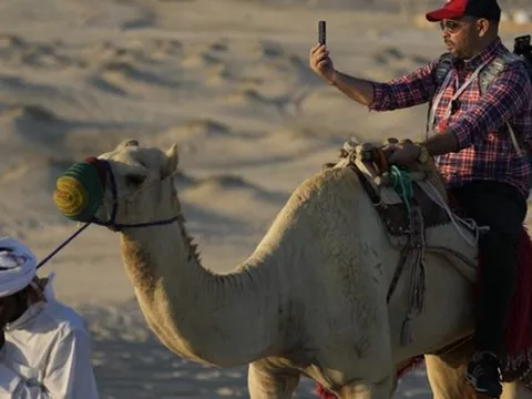 Du lịch Qatar bội thu mùa World Cup: Đến lạc đà cũng "còng lưng" làm thêm giờ vì khách quá đông