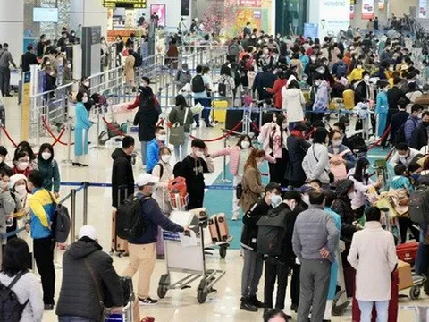 Yêu cầu các hãng hàng không báo cáo lượng vé Tết đã bán