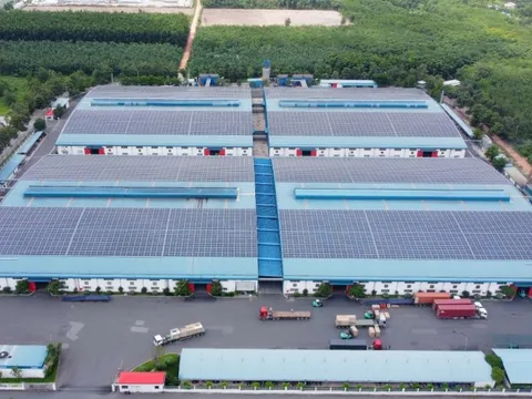 Giữa cơn bão của ngành gỗ, một doanh nghiệp trong ngành vẫn sống khỏe