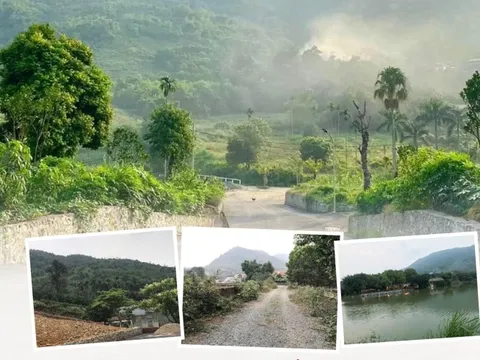 Vỡ mộng bỏ phố lên rừng tàn giấc mơ "Căn nhà ngoại ô"