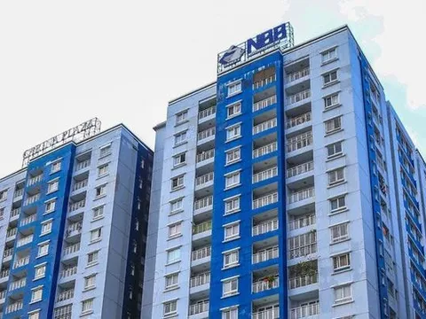 Công ty con của CII không mua hết lượng cổ phiếu NBB đã đăng ký