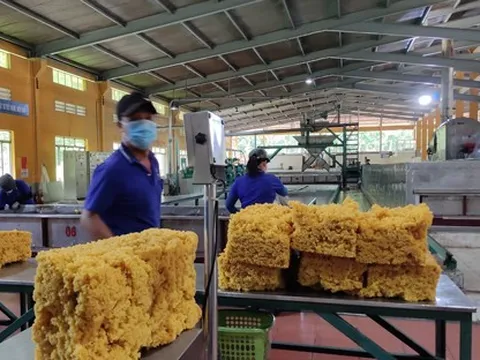 "Sốt ruột" chờ hoàn thuế