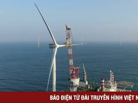 Việt Nam nhiều tiềm năng trở thành trung tâm của châu Á - Thái Bình Dương về điện gió ngoài khơi