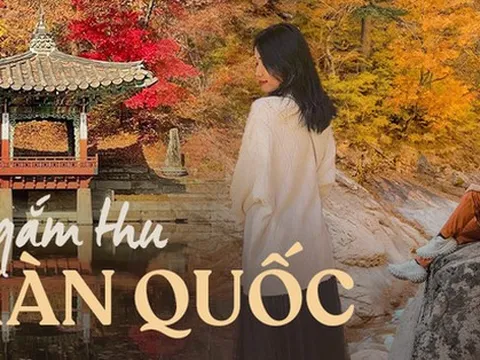 6 địa điểm tận hưởng mùa thu, ngắm lá vàng rơi lãng mạn ở Hàn Quốc
