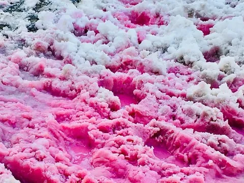 Hiện tượng tuyết hồng kỳ lạ trên các dãy núi: Đẹp mê man nhưng đồng thời là cảnh báo đỏ cho hành tinh chúng ta?