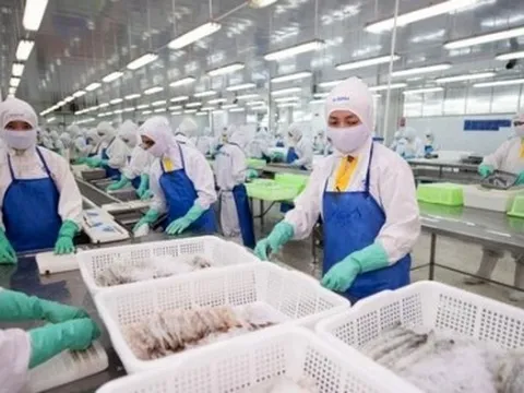 Doanh nghiệp xuất khẩu thủy sản miền Tây 'ngấm đòn' lạm phát
