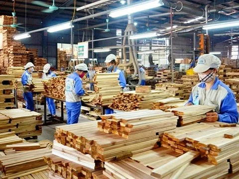 Kiến nghị "gỡ khó" về hoàn thuế VAT cho doanh nghiệp gỗ