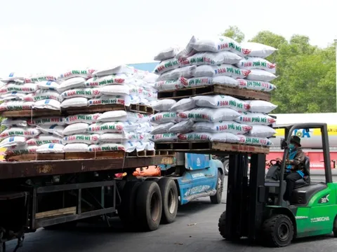 “Cú đúp” của Nhà máy Đạm Phú Mỹ