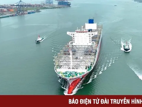 GRDP Bà Rịa - Vũng Tàu ước vượt 390.000 tỷ đồng