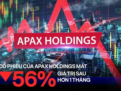 Cổ phiếu IBC - Apax Holdings của Shark Thuỷ mất 56% giá trị sau hơn một tháng, báo cáo tài chính chỉ ra doanh nghiệp còn lại bao nhiêu tiền?