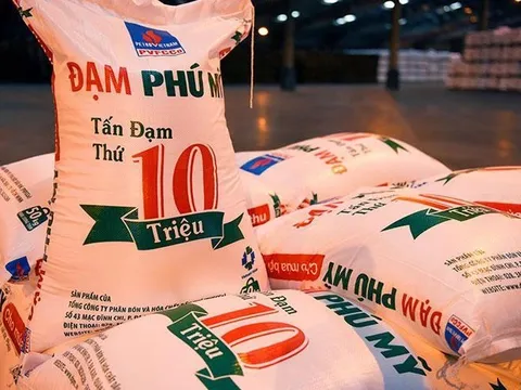 Lợi nhuận cao kỷ lục, Đạm Phú Mỹ (DPM) muốn nâng tỷ lệ cổ tức lên 70%