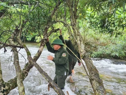 Nghệ An: Quan tâm đến chế độ cho lực lượng bảo vệ rừng