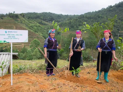 Tập đoàn Stavian: Thực hiện tốt ESG để tăng trưởng bền vững