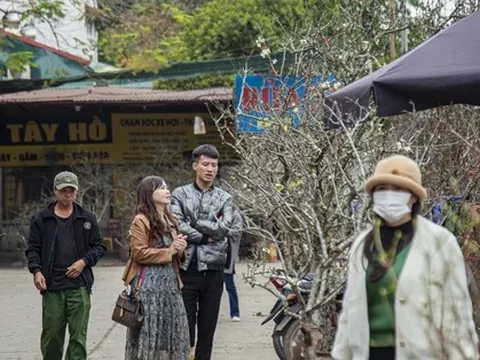 Hoa rừng xuống phố, người dân thủ đô chi hàng triệu đồng để chơi Tết sớm