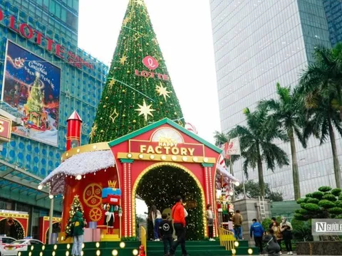 Người dân thích thú check-in với cây thông khổng lồ trước thềm Noel