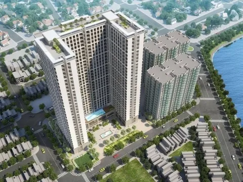 Phú Tài (PTB) dự kiến chi 280 tỷ đồng mua lại 6,5 triệu cổ phiếu
