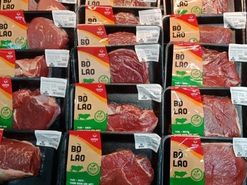 Bầu Đức chính thức bán bò Lào, chuỗi nông nghiệp khép kín có vai trò quan trọng của một công ty giấy