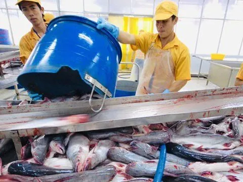 Không để ùn ứ nông sản do thiếu vốn