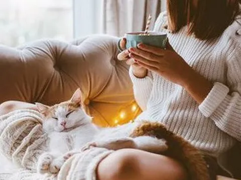 Hygge - phong cách sống mang lại sự ấm cúng, thoải mái cho những ngày đông lạnh giá