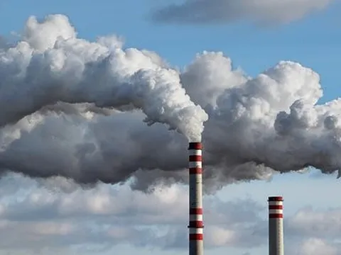 Vai trò thiết yếu của thị trường các-bon tự nguyện