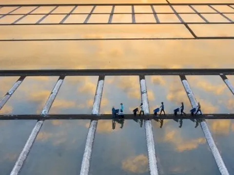 Đi Vũng Tàu nhiều nhưng không phải ai cũng biết cánh đồng đẹp đến say lòng này