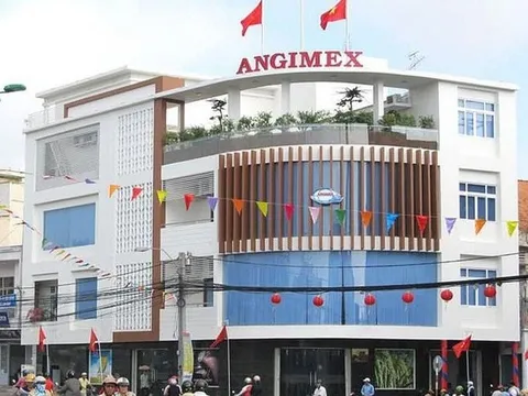 Thành viên HĐQT Angimex Vũ Ngọc Long bị truy tố