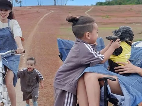 Lạc vào đồi cỏ hồng độc lạ, đậm chất trời Tây của "xứ sở sương mù" Đà Lạt