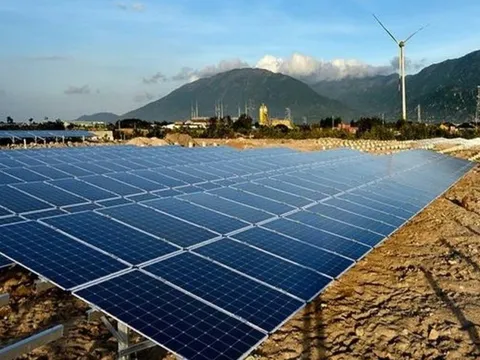 Điện Gia Lai (GEG) tiếp tục giải thể thêm một công ty con
